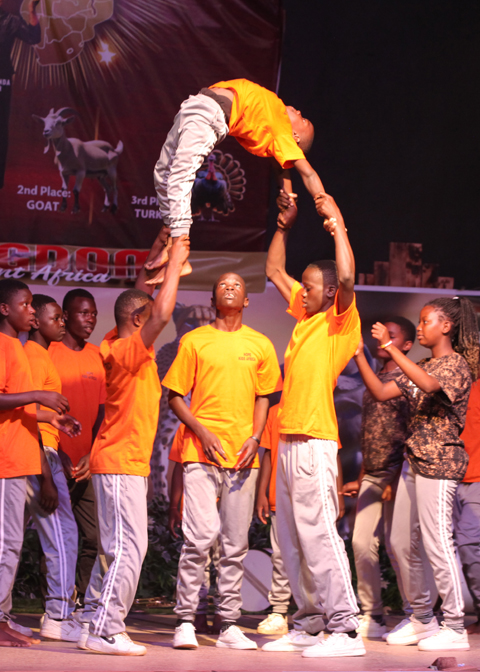 IMG_2904 copy